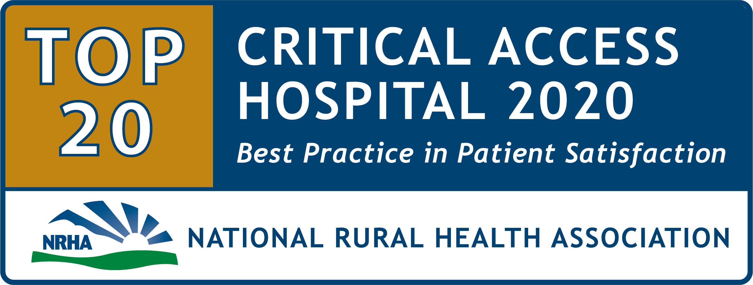 Top 20 Critical Access Hospitals for Patient Satisfaction