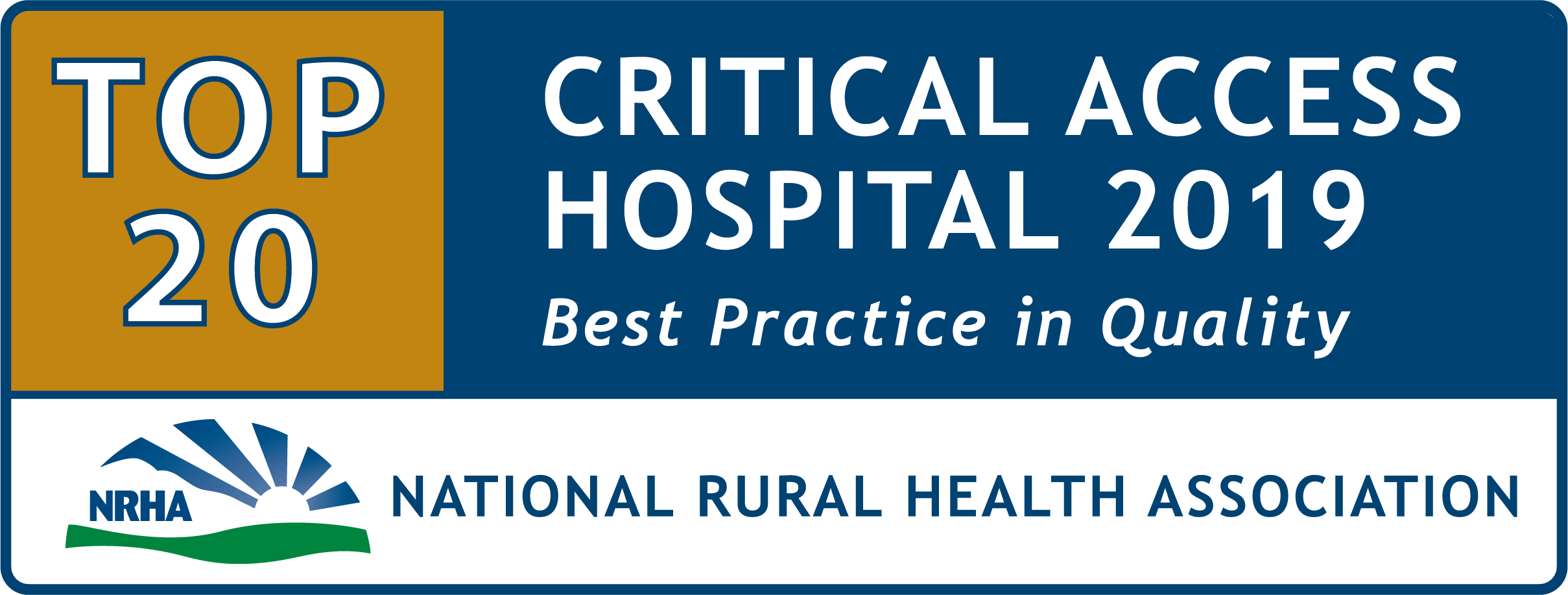 Top 20 Critical Access Hospitals for Quality