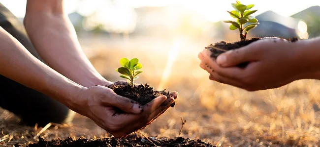 Support Groups, Classes and Events