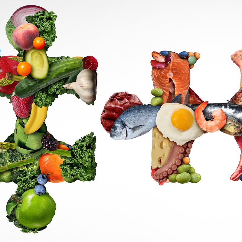 Protein and vegetables as puzzle pieces